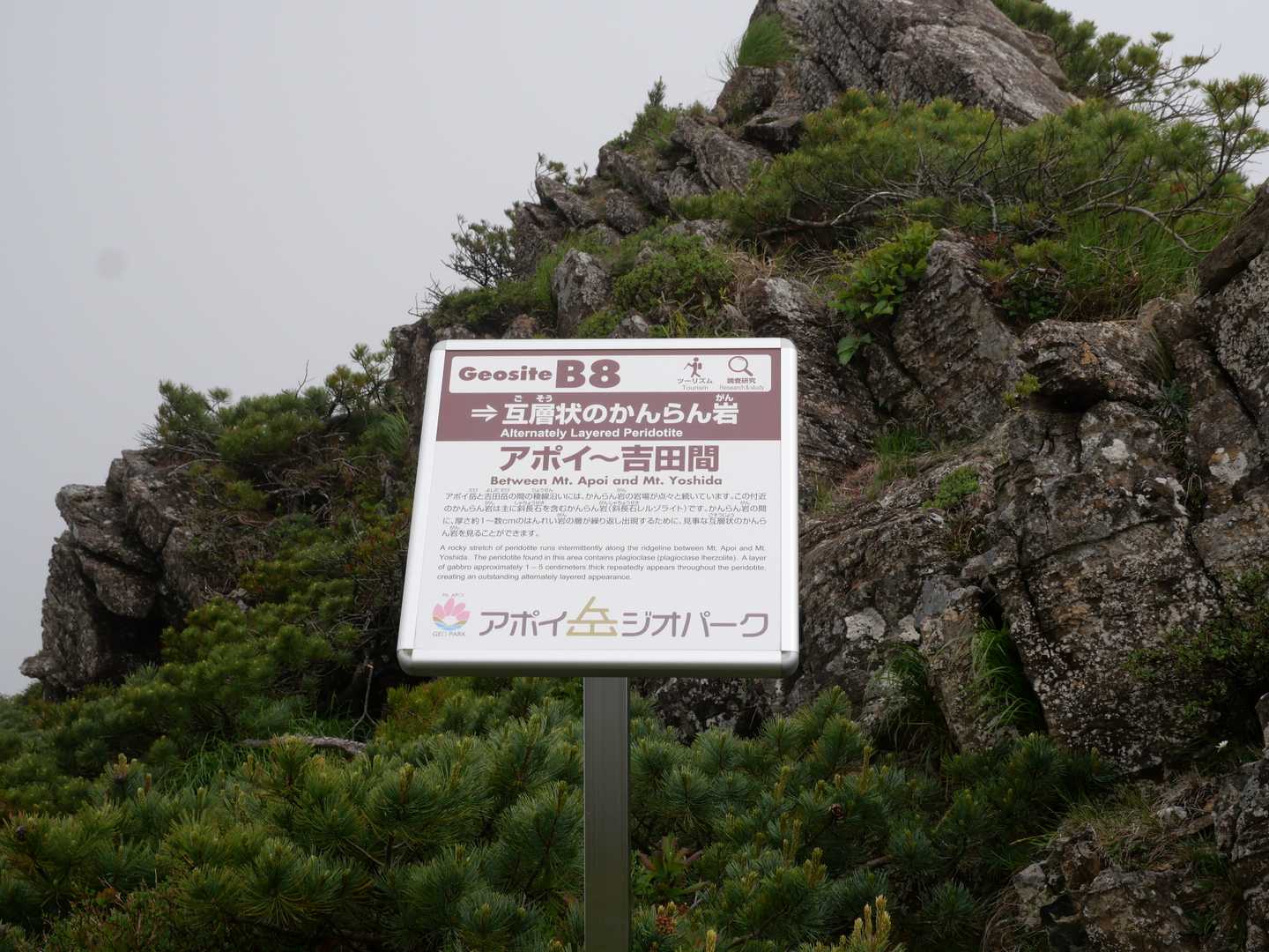冬島登山口-入林届出所-アポイ岳-吉田岳 往復コースの写真