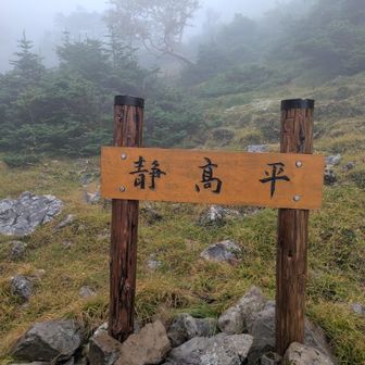 静高平！