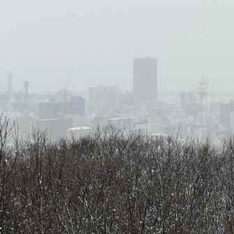 ぼやける霞城セントラル