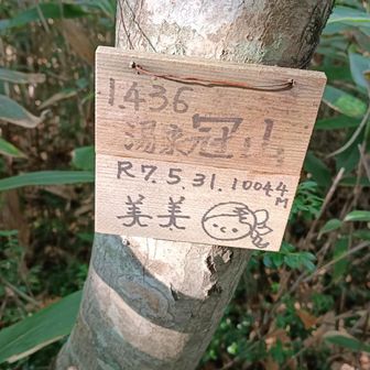 時々みる美美さん看板、ココにも登ってるのね…