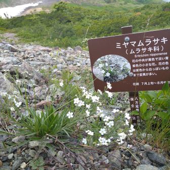 サン
