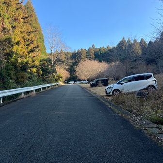 帰ってきました
だいぶ車減ってる