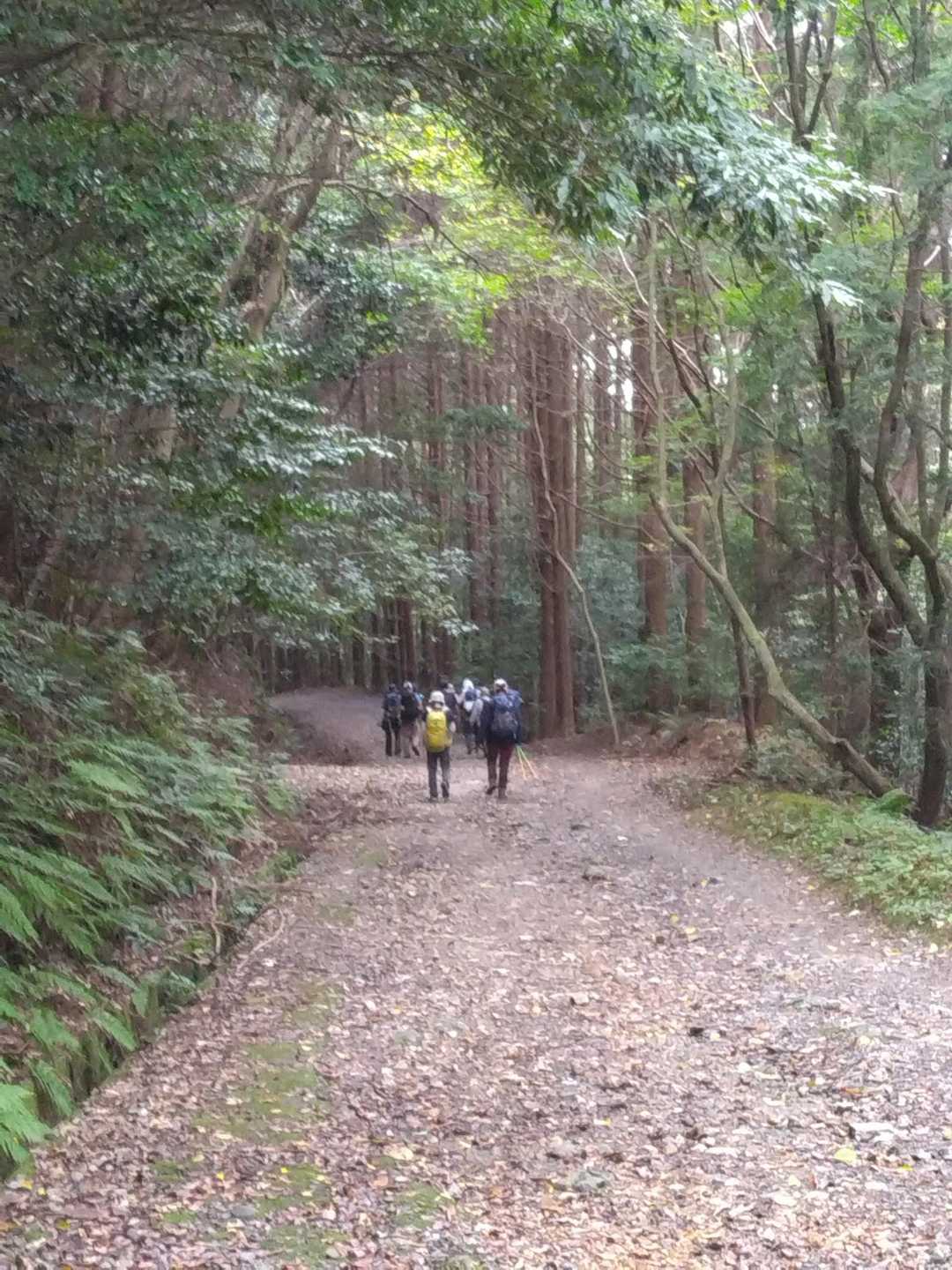 弥勒山登山口-弥勒山登り口-弥勒山 往復コースの写真
