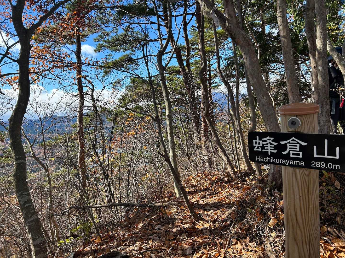 信楽寺跡登山口-松倉山-撫倉山-蜂倉山-鎌倉山-遂倉山-遂 縦走コースの写真