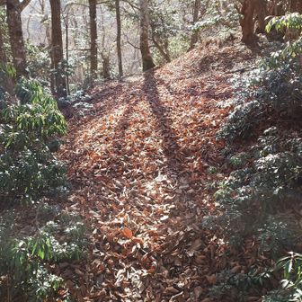 枯れ葉を踏むのも気持ち良か