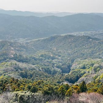 中山仙境方面。