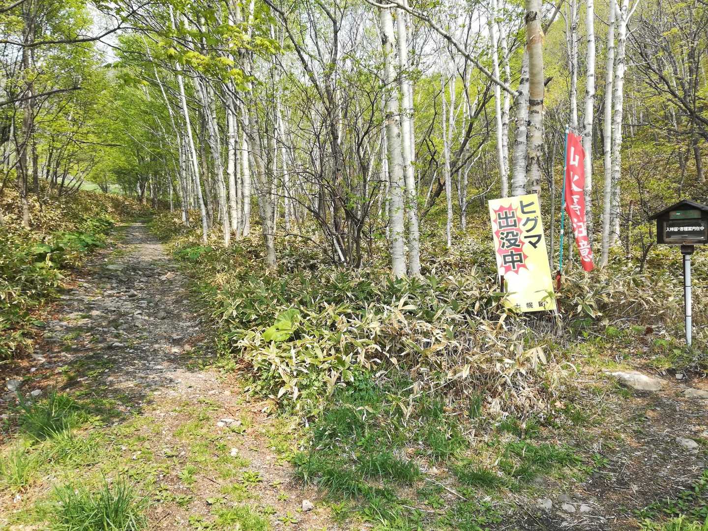 出発🏁
リハビリ頑張ります！
それにしても蒸し暑い☀予報では26度
だんだんとサウナ状態に😵