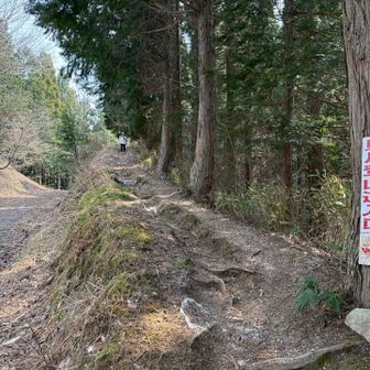 登山道入口へ戻ってきました
後ろの方が見えます😇