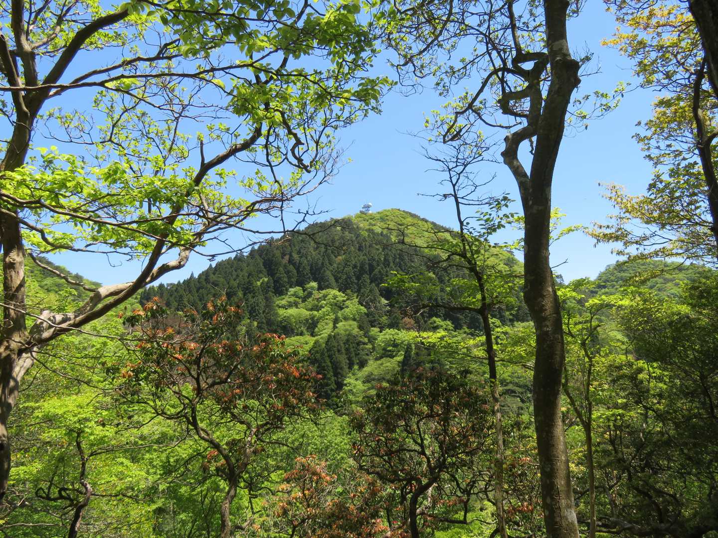 さっき行って来た最高峰見えた！
