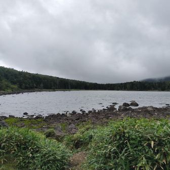 雨池
