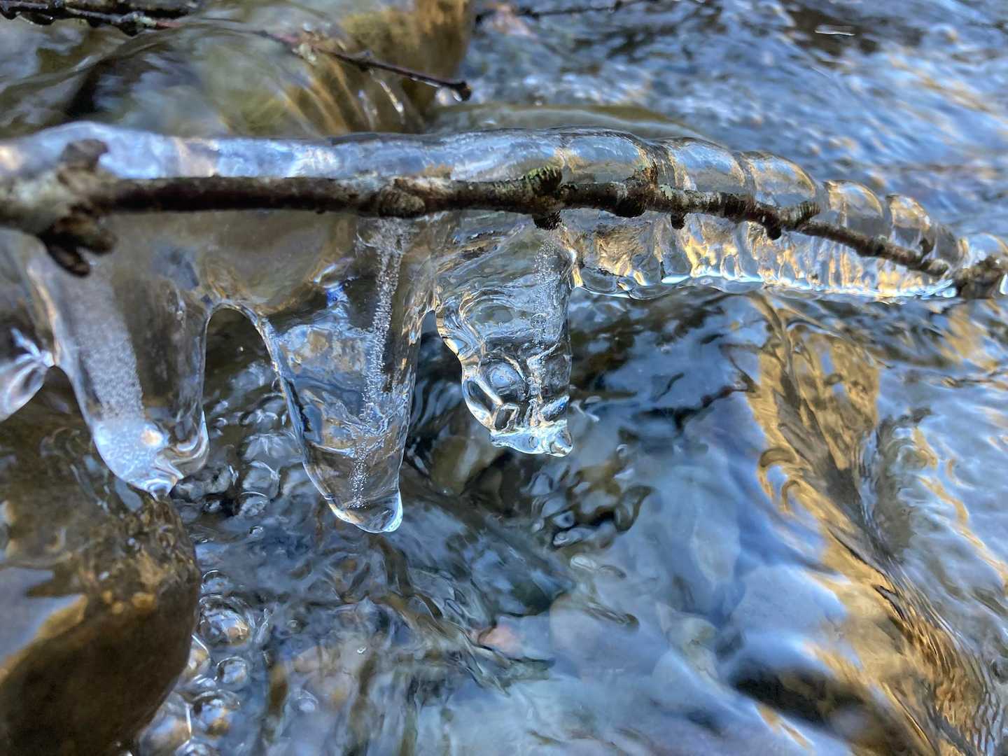 川の岩は氷🧊で滑ります⚠️
沢全体ももう少しで凍るのかしら？

無事下山
そして・・・