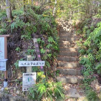 ここから登ります🧗