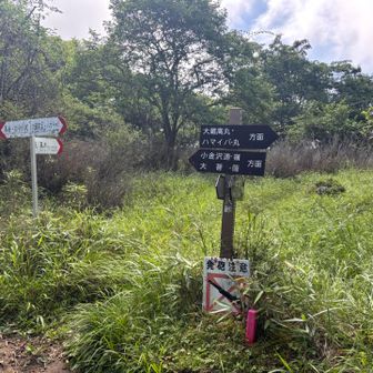 ハマイバ方面との分岐。