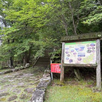 駒の尾山　熊出没注意の赤い看板