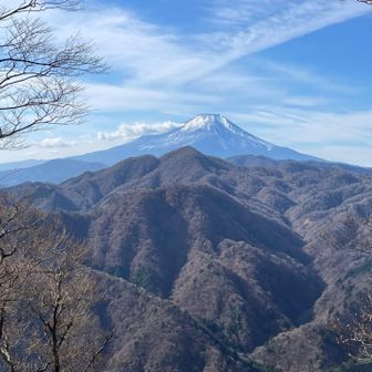 犬越路避難小屋を後に、大室山への急登を登ってます。
急登きついですが、景色が背中を押してくれます☺️