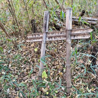 鎌倉アルプスからの追加で回ったピークその3、桔梗山。こちらもピークは分かりにくいですし、眺望といったものもあんまりないです。