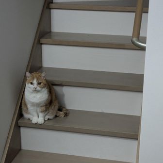 たかしLv8