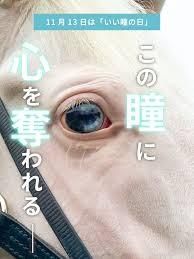 🐎🫏たま🫏🐎