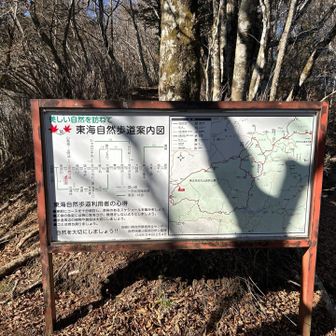 自然歩道…かなりマゾいですが