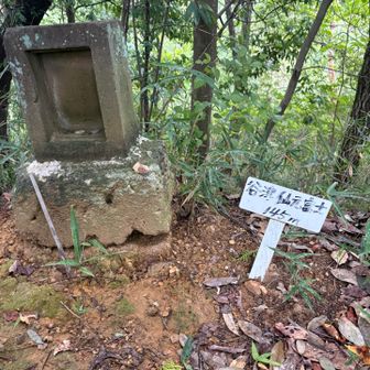 仙元神社に移動してきました⛩️
『谷津仙元富士』登頂🙌
やはり富士塚です🗻