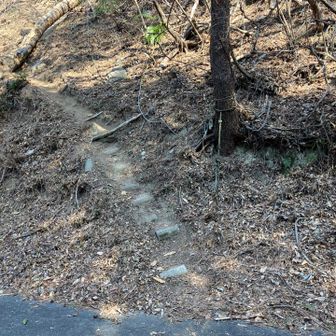 ここからは駐車場まで舗装道。