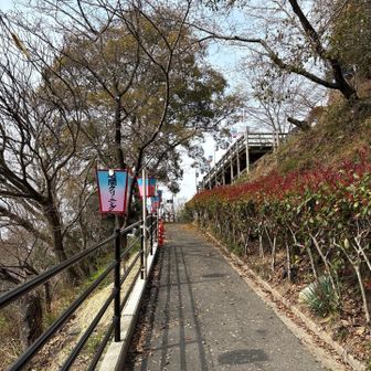 桜🌸は、まだですね。
手すりができてます。
