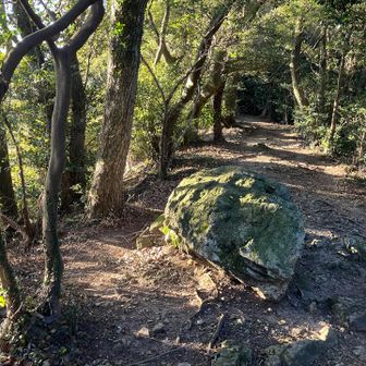 しばらく歩いて