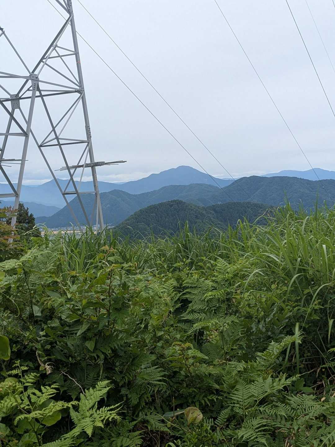 鉄塔の所は開けていて正面には『日野山』が見えてます😄
日野山はかの有名な紫式部も
「ここにかく　日野の杉むら　埋む雪　小塩の松に　けふやまがへる」（ここに降った雪は、日野山の杉林を埋め尽くすほど深い。今日は、都の小塩山にある松にも、同じように雪が散り乱れて積もっていることでしょうか）
な〜んて詠んだ山です😊
（ふ〜ん🤔）