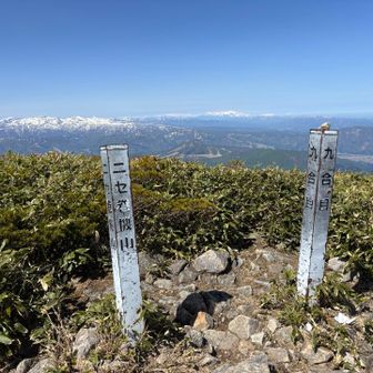 ニセ巻機山には全く雪なし😑