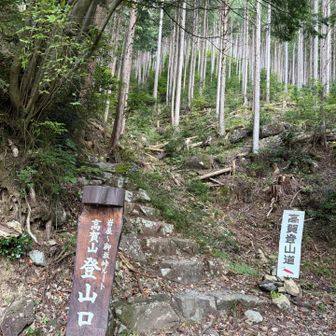ここから急登の始まりです💧