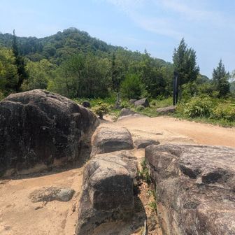 幸山は貸し切り