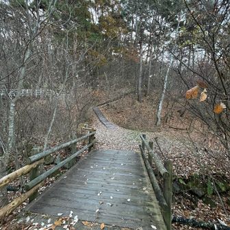 霜がおりてる
寒い朝