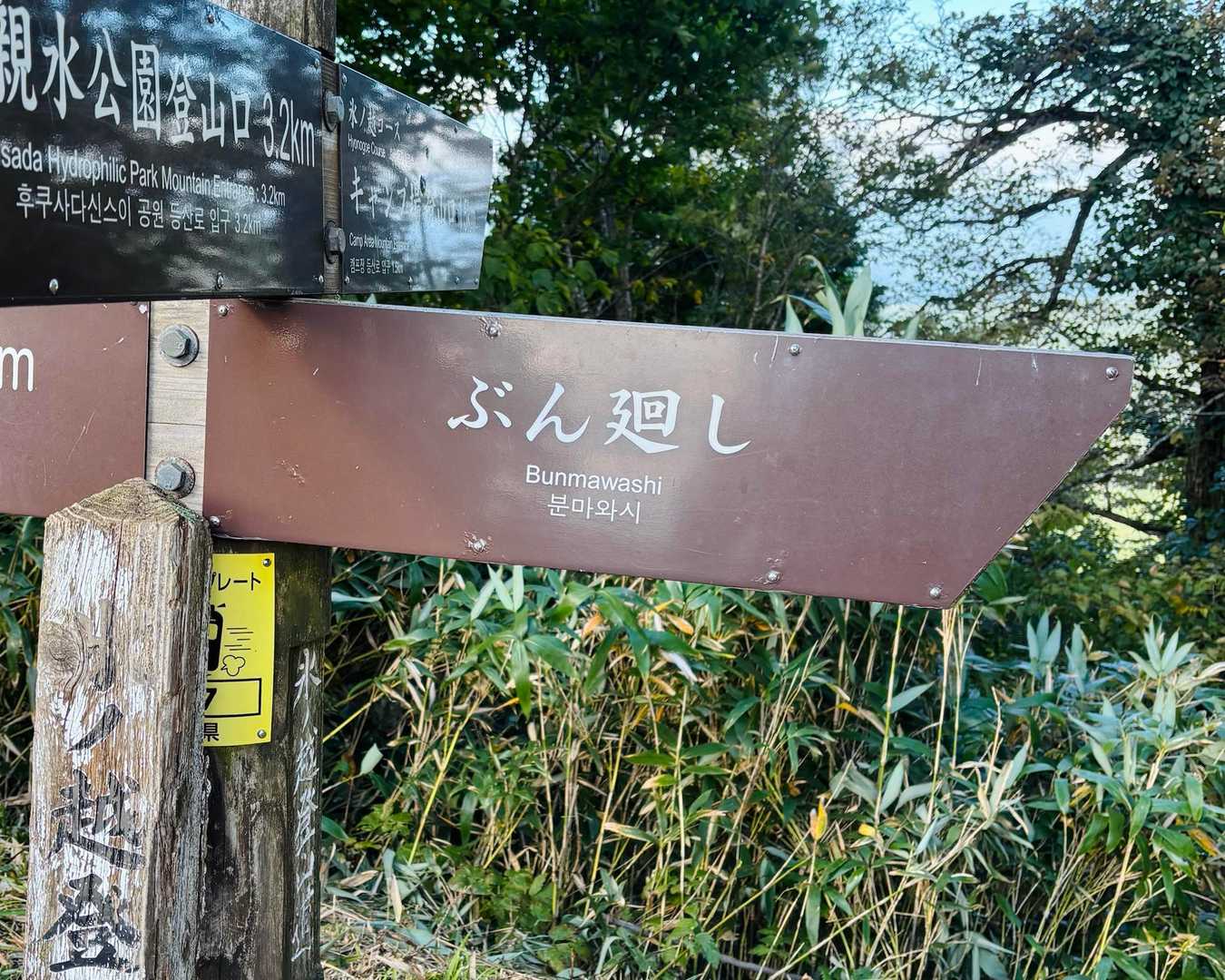 でた！ぶん廻し
公式のコース名なんですね

ちなみに
ぶん廻しとは円を描くコンパスのことで

そこからグルっと回る周回コースを
そう呼ぶようになったとか

登山用語なのかと思いきや
氷ノ山だけでしか聞かないなぁ🤔