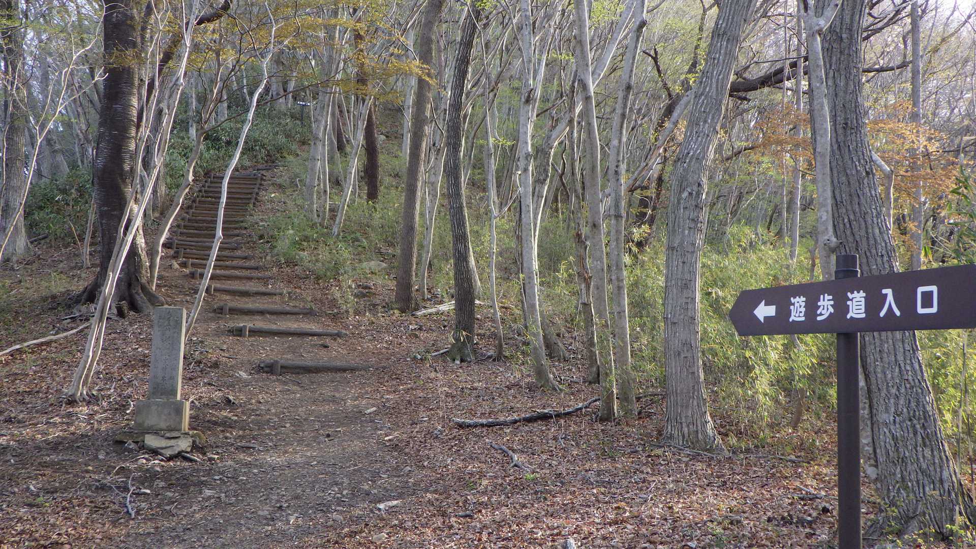 　鎌倉岳山頂を目指そう