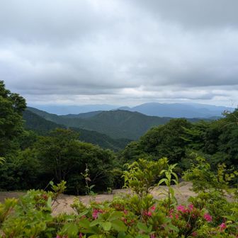 ロープウェイ跡地から岩湧山方面を望む。