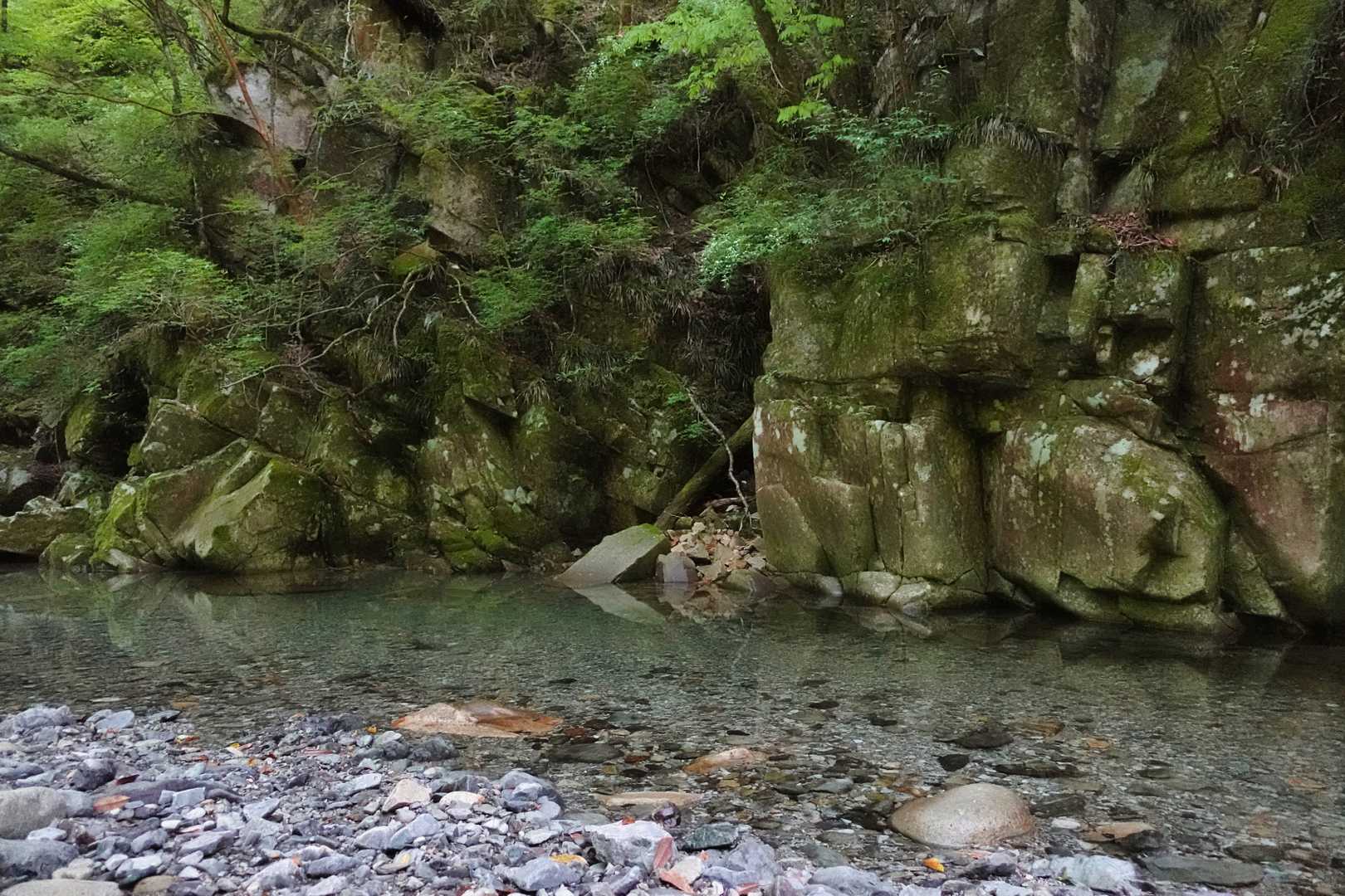 明るくなってきたのでリスタートします。