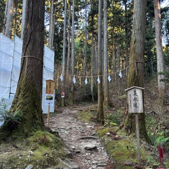 戻ってきました