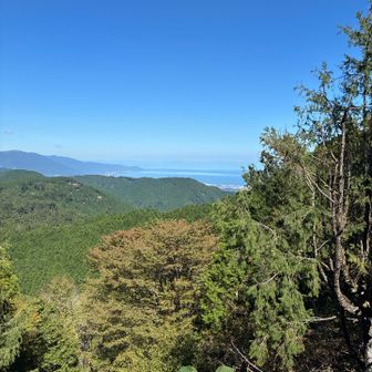 琵琶湖と比良山系