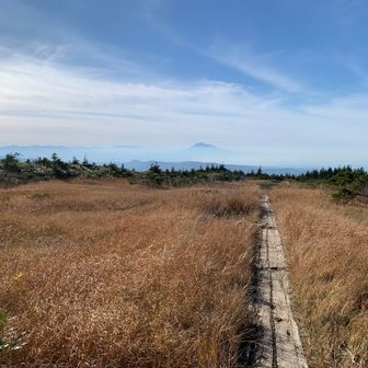 毛無岱からの岩木山