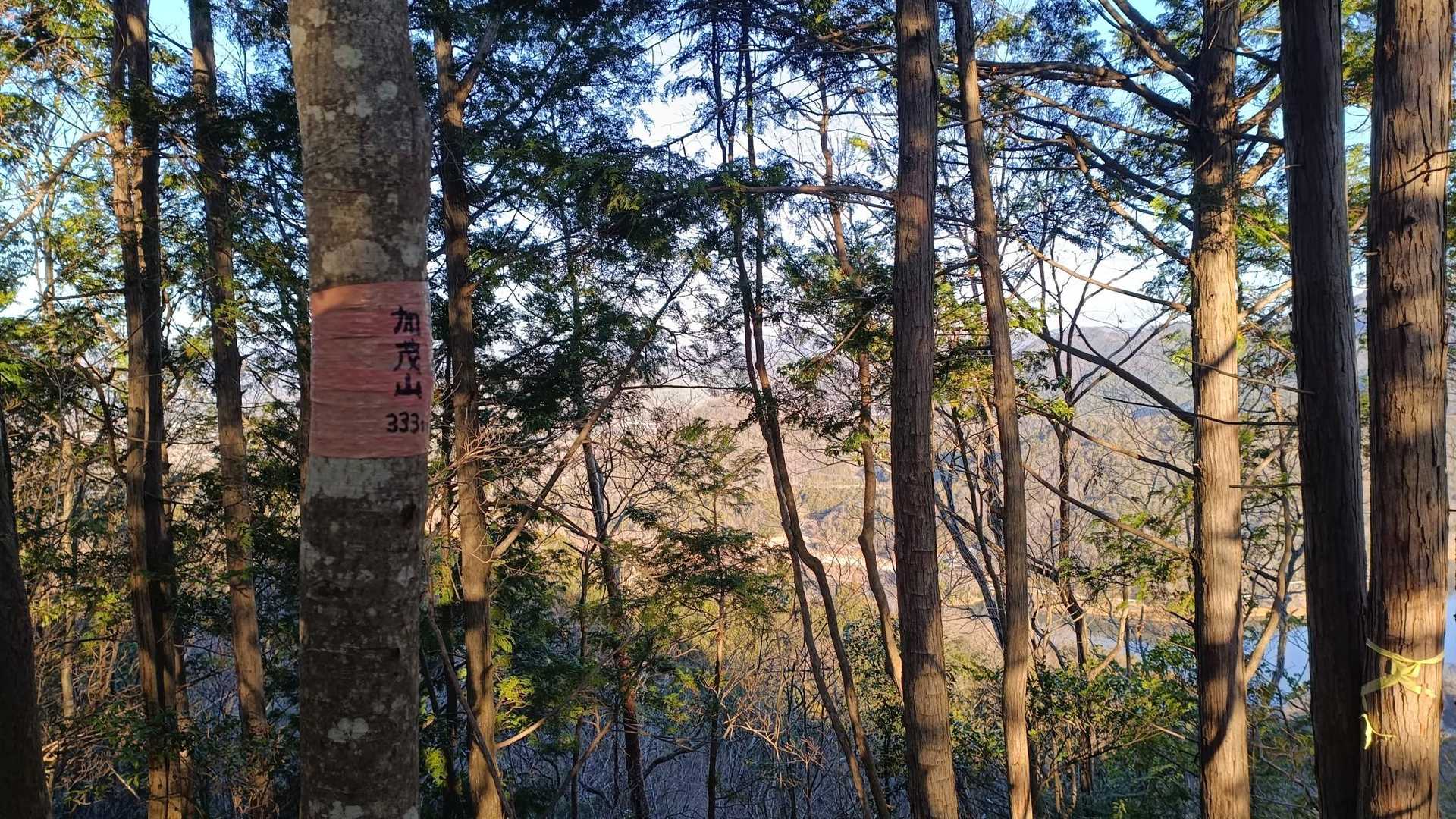 加茂山