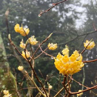 ちょっっとだけまだ残ってました