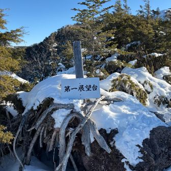 第一展望台　見晴らし最高！