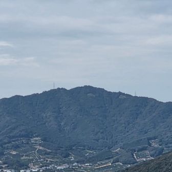 平尾山の三角のところ(右)は草ボーボーだとか!?