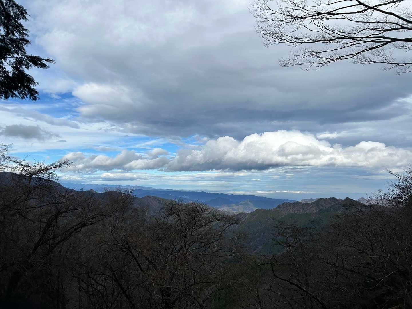 境沢ノ頭-ミズヒノ頭-西沢ノ頭-大山-頂上登山口-大山ケー 縦走コースの写真