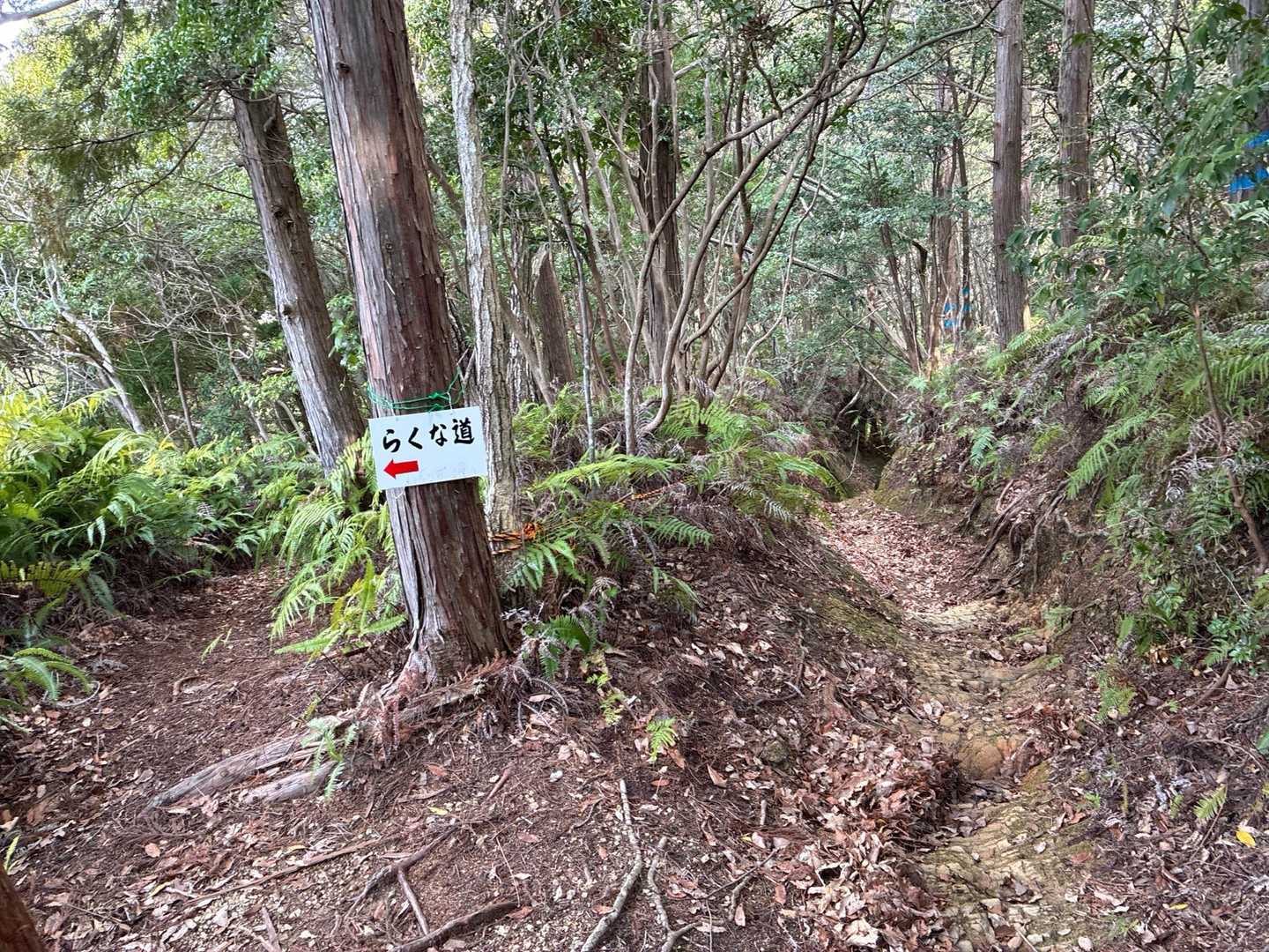 らくな道を選択