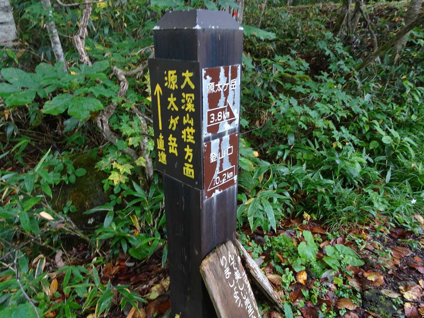 源太ヶ原登山口-源太ヶ岳 往復コースの写真