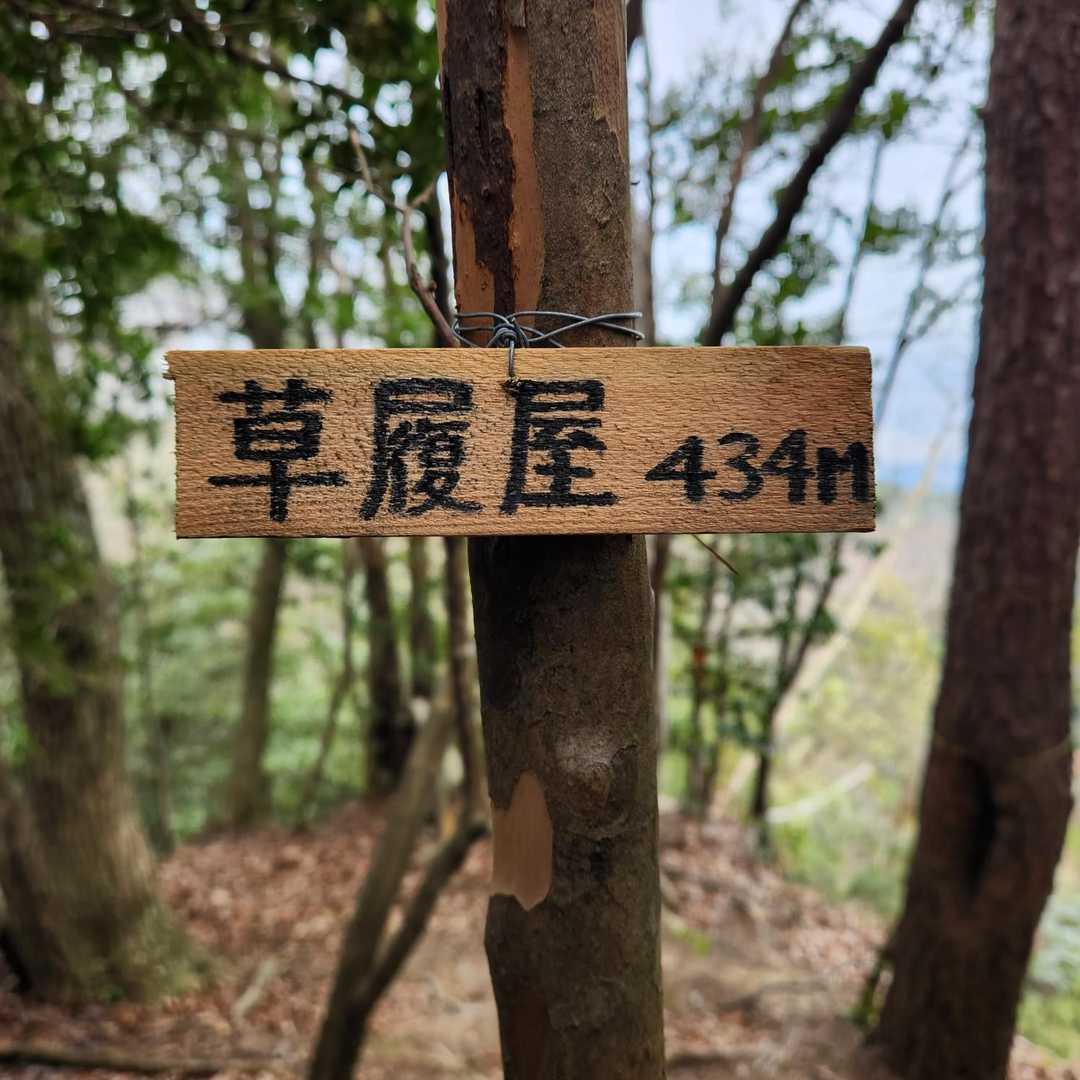 低山です。