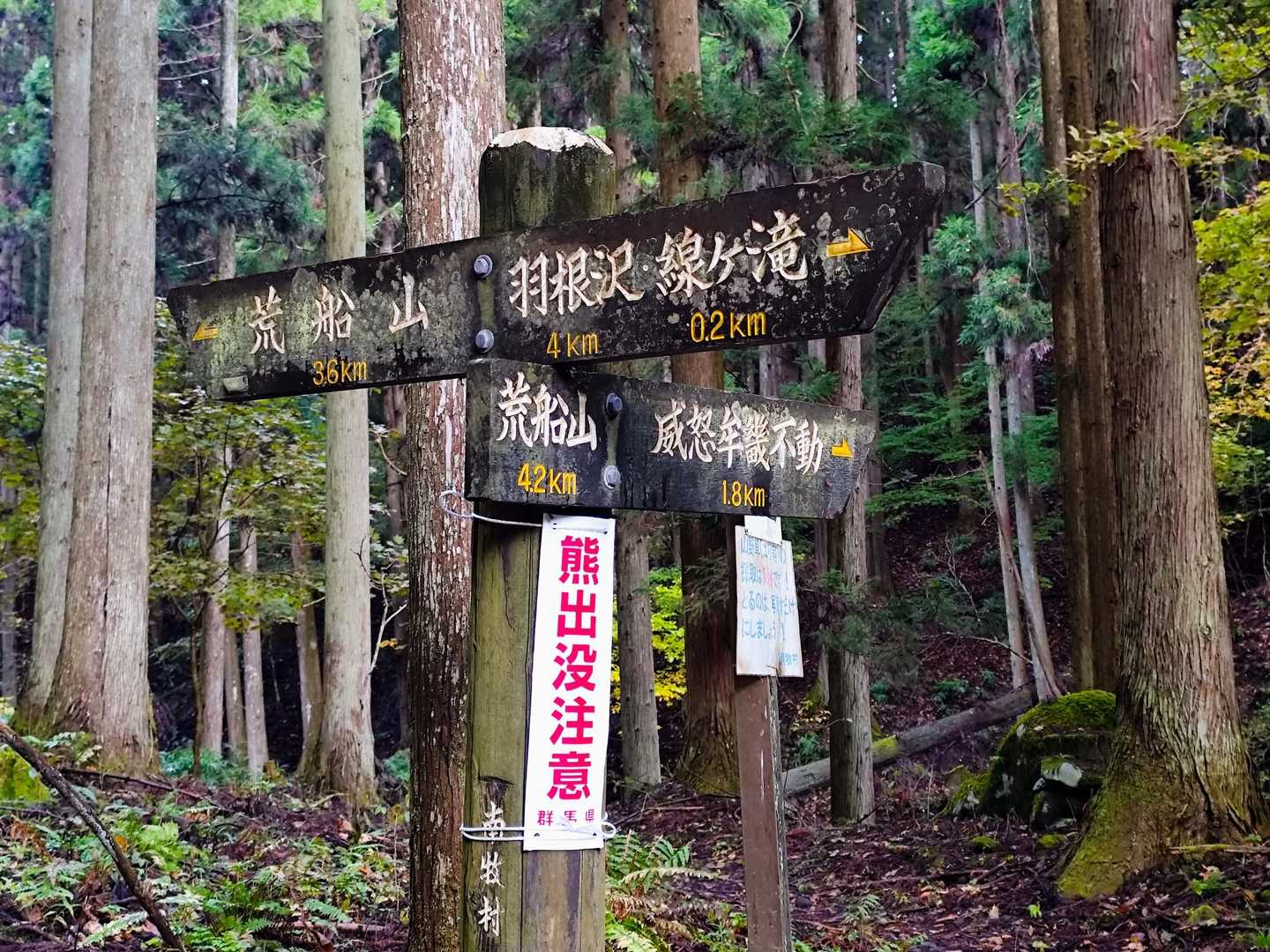 荒船山と立岩との分岐をイヌムキ不動方面へ入ります😗