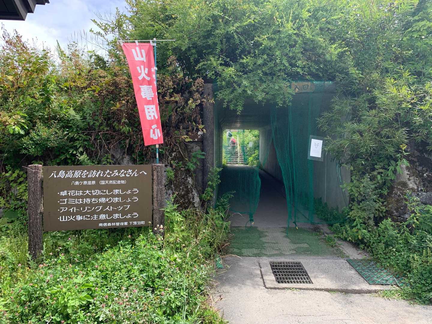 てくてく🚶