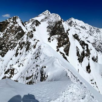 心を奪われる😆